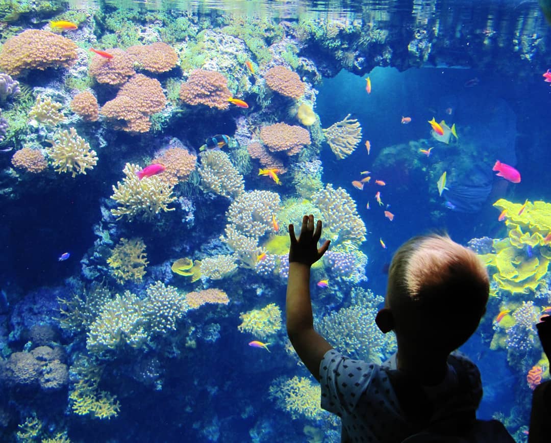 Oceanographic-Museum-Monaco-@marco.del